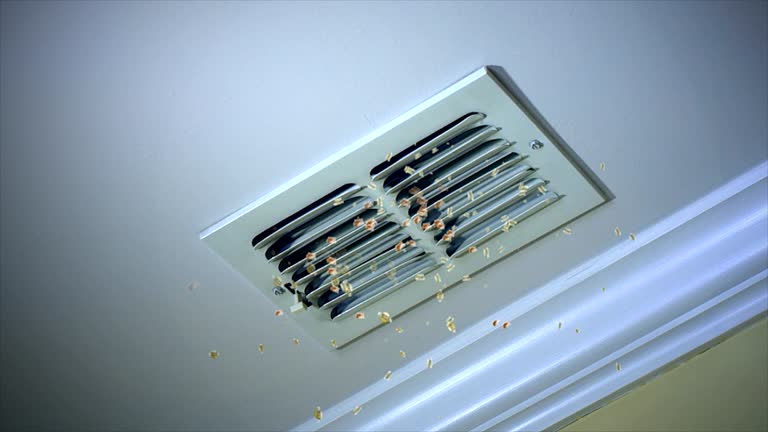 Best Residential Air Duct Cleaning  in Warsaw, IL